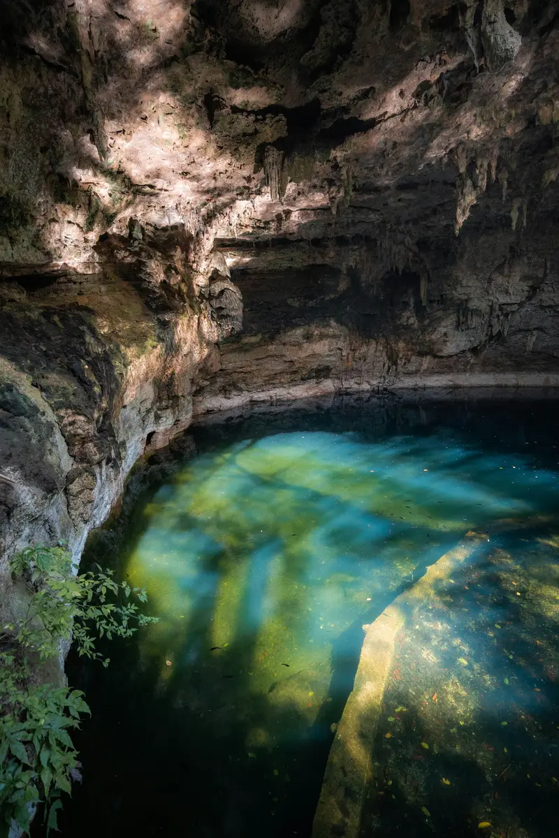 Multi-Day Immersions
