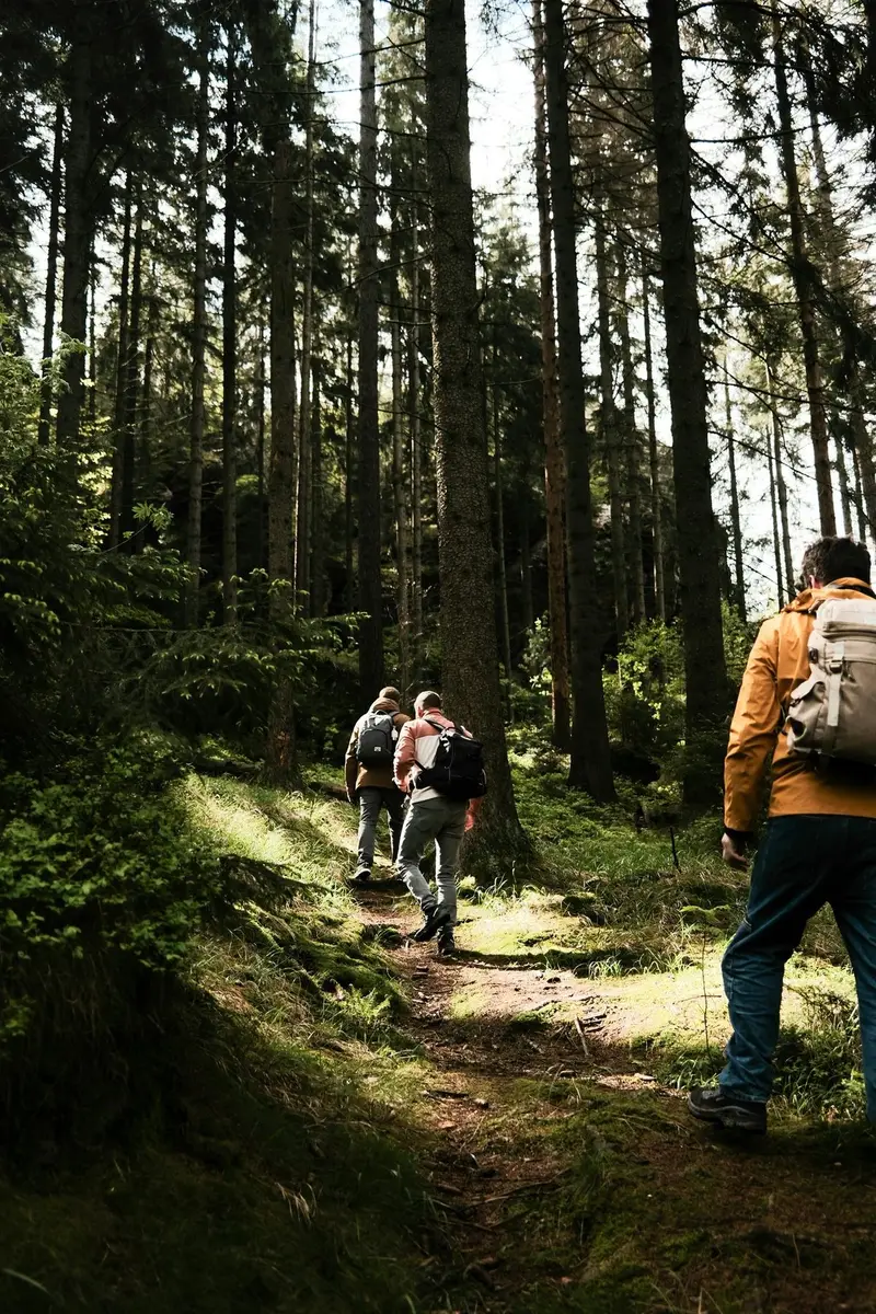 Men walking through forest