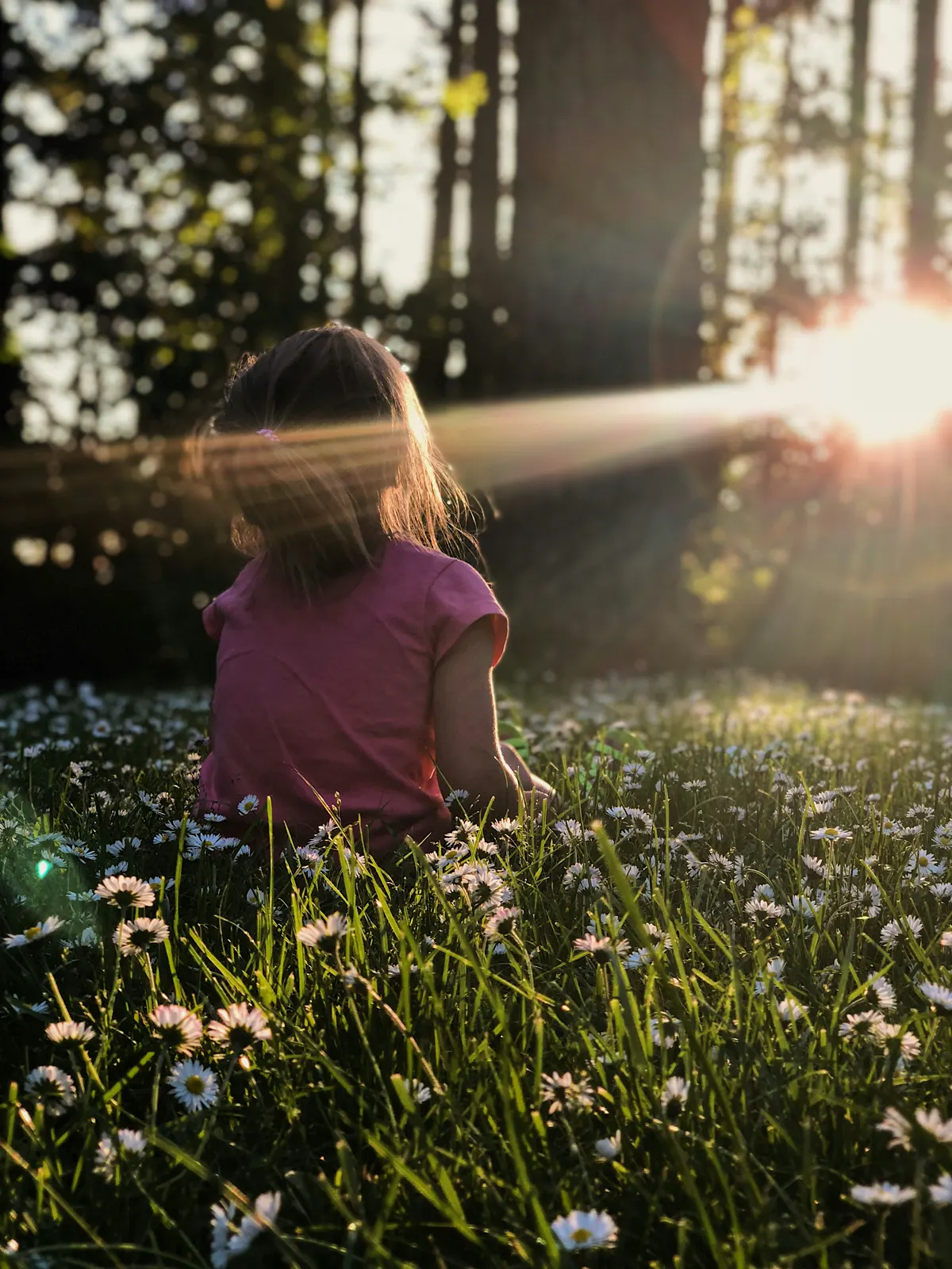 A child sitting peacefully among wildflowers
